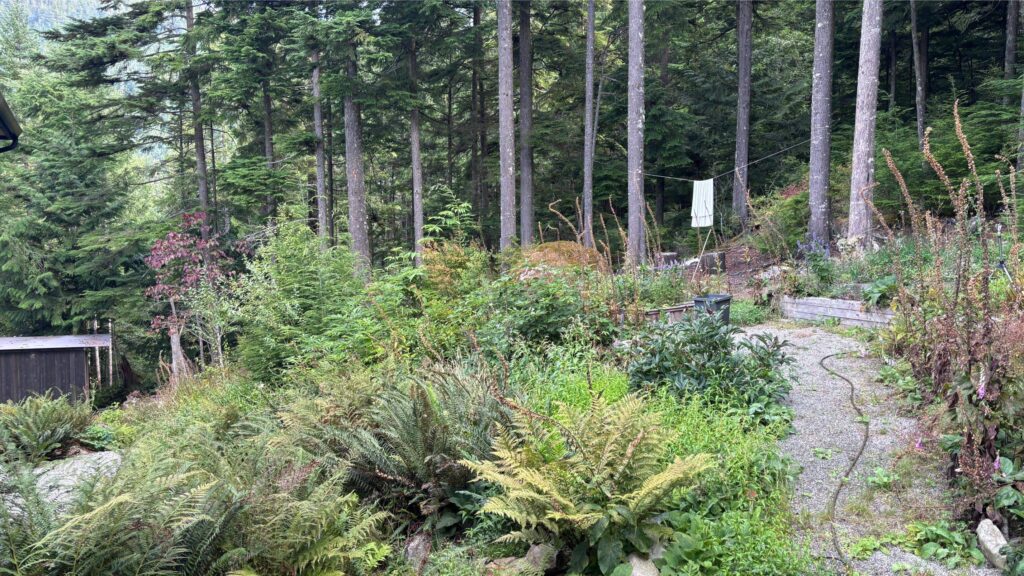 Location_Fixer_Secluded_Waterfront_House_Aug_2026IMG_0124